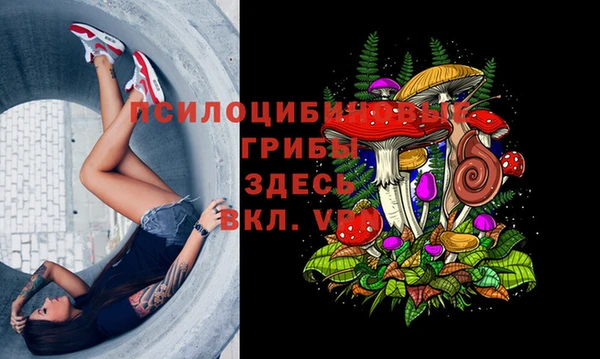 гидропоника Майский