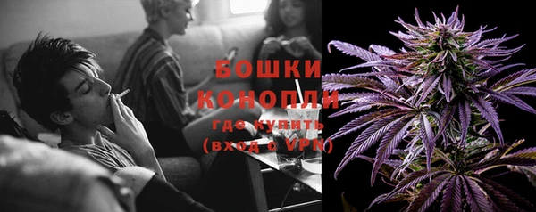 ГАЛЛЮЦИНОГЕННЫЕ ГРИБЫ Медвежьегорск