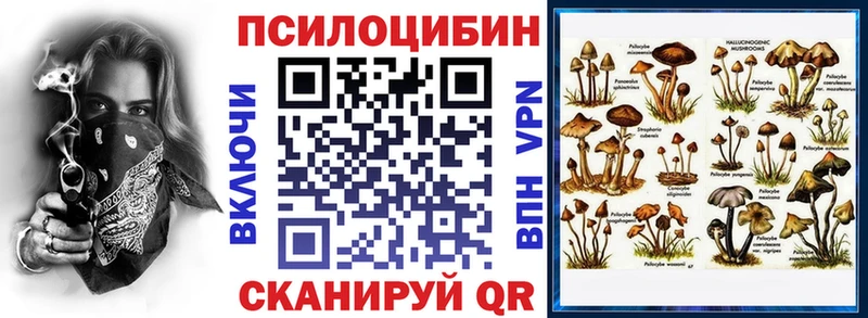 Купить закладки  Уссурийск  Галлюциногенные грибы мицелий 